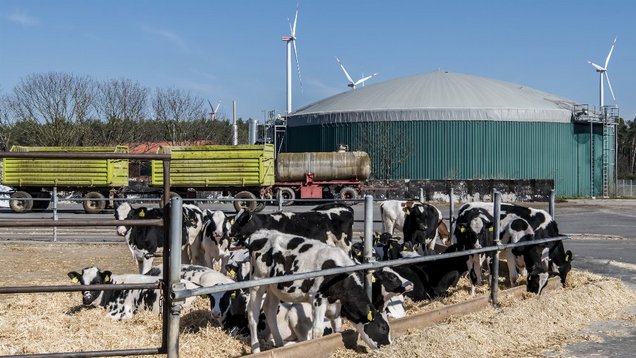 Biogasanlage Wahlsdorf